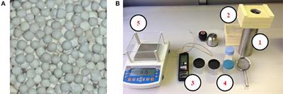 Water/Ethanol and 13X Zeolite Pairs for Long-Term Thermal Energy Storage at Ambient Pressure